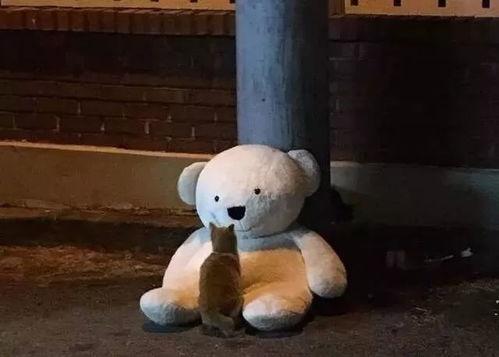 身累图片,探寻身心疲惫背后的生活真相